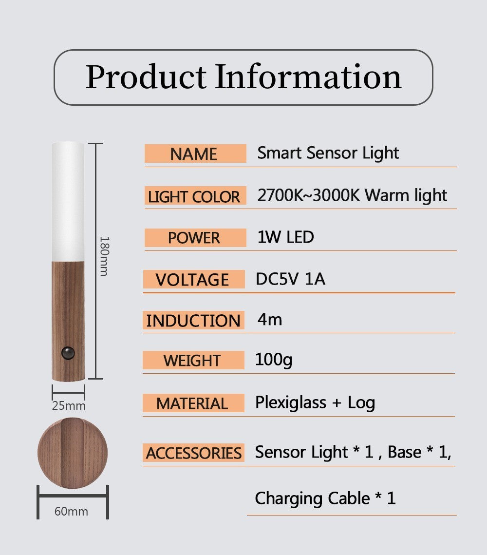 Motion Sensor Torch Night Light