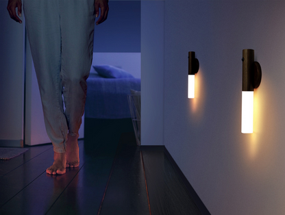 Motion Sensor Torch Night Light